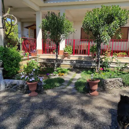 Casa Di Alma Lanuvio