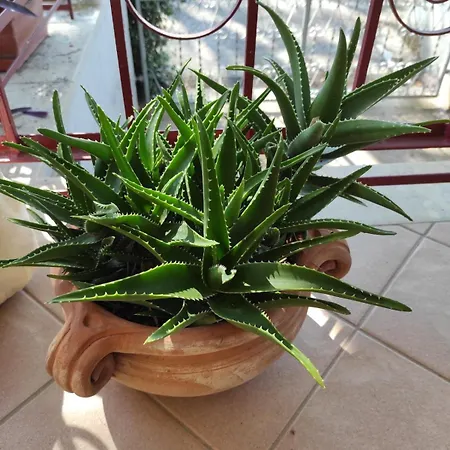 Prázdninový dům Casa Di Alma Lanuvio